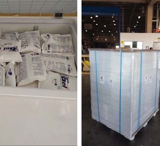 New Polystyrene pallet Box by GEVATRANS (Greece) for Perishable Logistics