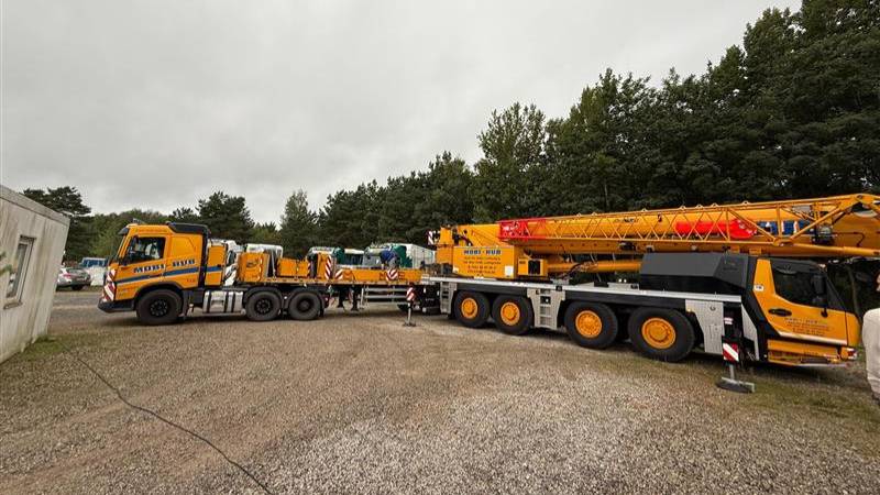 BLUE FREIGHT (Germany) and FIBS LOGISTICS (China) coordinate First Direct Import of Capsule Houses into Germany