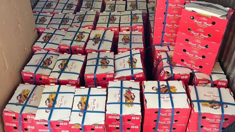 ROTTERDAM OVERSEAS NETWORK (Thailand) demonstrates Expertise with Two Perishable Thai Fruit Air Shipments to Amsterdam