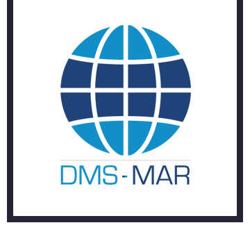 DEVELOPPEMENT MARITIEM SERVICES 